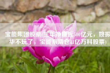 宝能集团股票(三年净赚近500亿元，姚振华不玩了，宝能系清仓11亿万科股票)