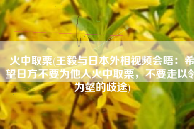 火中取栗(王毅与日本外相视频会晤：希望日方不要为他人火中取栗，不要走以邻为壑的歧途)