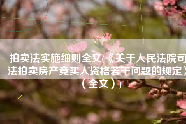 拍卖法实施细则全文(《关于人民法院司法拍卖房产竞买人资格若干问题的规定》（全文）)