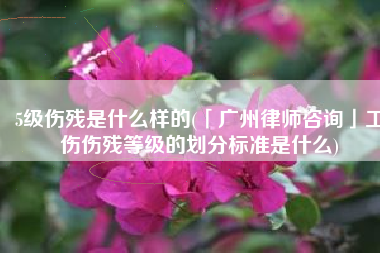 5级伤残是什么样的(「广州律师咨询」工伤伤残等级的划分标准是什么)