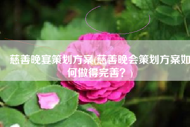 慈善晚宴策划方案(慈善晚会策划方案如何做得完善？)