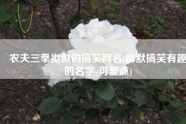 农夫三拳类似的搞笑网名(幽默搞笑有趣的名字-可爱点)