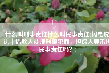 什么叫刑事责任什么叫民事责任(闪电说法｜借款人涉嫌刑事犯罪，担保人要承担民事责任吗？)