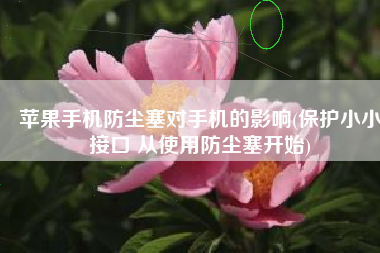 苹果手机防尘塞对手机的影响(保护小小接口 从使用防尘塞开始)