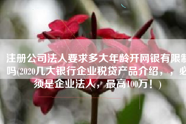 注册公司法人要求多大年龄开网银有限制吗(2020几大银行企业税贷产品介绍，，必须是企业法人，最高100万！)
