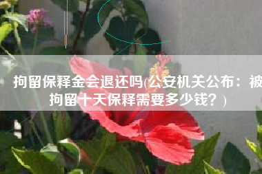 拘留保释金会退还吗(公安机关公布：被拘留十天保释需要多少钱？)