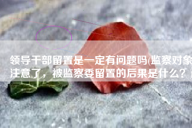 领导干部留置是一定有问题吗(监察对象注意了，被监察委留置的后果是什么？)