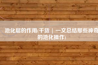 池化层的作用(干货 | 一文总结那些神奇的池化操作)