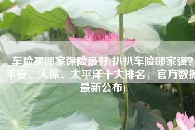 车险买哪家保险最好(扒扒车险哪家强？平安、人保、太平洋十大排名，官方数据最新公布)