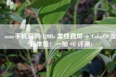 oone手机官网(120Hz 柔性直屏 + ColorOS 全新体验：一加 9R 评测)