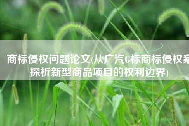 商标侵权问题论文(从广汽G标商标侵权案探析新型商品项目的权利边界)