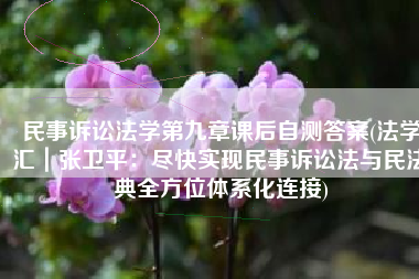 民事诉讼法学第九章课后自测答案(法学汇｜张卫平：尽快实现民事诉讼法与民法典全方位体系化连接)