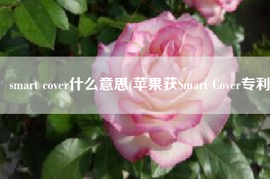 smart cover什么意思(苹果获Smart Cover专利)