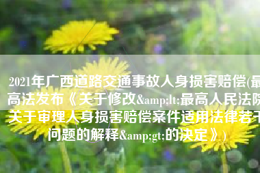 2021年广西道路交通事故人身损害赔偿(最高法发布《关于修改<最高人民法院关于审理人身损害赔偿案件适用法律若干问题的解释>的决定》)