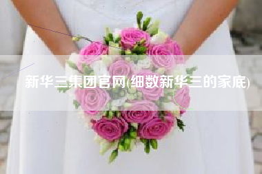 新华三集团官网(细数新华三的家底)