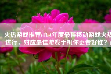 火热游戏推荐(TGA年度最佳移动游戏火热进行，对应最佳游戏手机你更看好谁？)