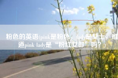 粉色的英语(pink是粉色，lady是女士，难道pink lady是“粉红女郎”吗？)