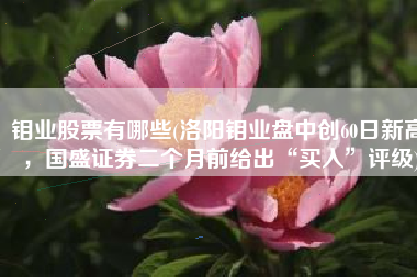 钼业股票有哪些(洛阳钼业盘中创60日新高，国盛证券二个月前给出“买入”评级)