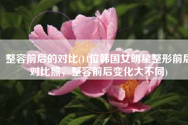 整容前后的对比(14位韩国女明星整形前后对比照，整容前后变化大不同)