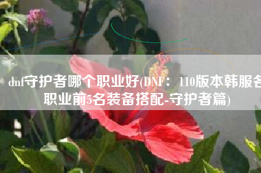 dnf守护者哪个职业好(DNF：110版本韩服各职业前5名装备搭配-守护者篇)