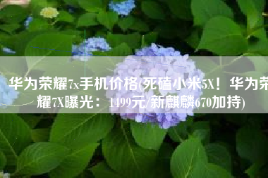 华为荣耀7x手机价格(死磕小米5X！华为荣耀7X曝光：1499元/新麒麟670加持)