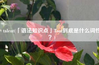 talent(「语法知识点」Tout到底是什么词性？)