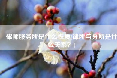 律师服务所是什么性质(律所与分所是什么关系？)