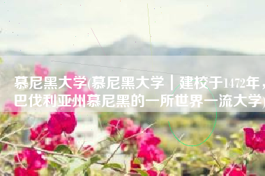 慕尼黑大学(慕尼黑大学｜建校于1472年，巴伐利亚州慕尼黑的一所世界一流大学)