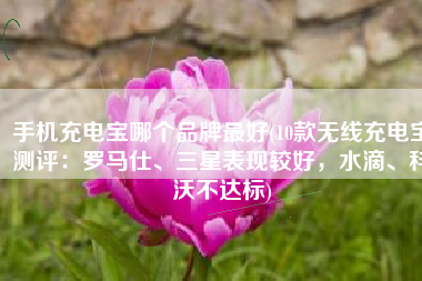 手机充电宝哪个品牌最好(10款无线充电宝测评：罗马仕、三星表现较好，水滴、科沃不达标)