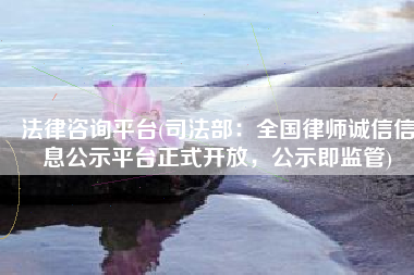 法律咨询平台(司法部：全国律师诚信信息公示平台正式开放，公示即监管)