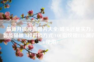 最新开锁神器图片大全(噱头还是实力，智能猫眼 8种开锁方式 VOC指纹锁T11c测评+使用)