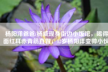 杨阳洋爸爸(杨威现身街边小饭馆，喝得面红耳赤青筋直冒，12岁杨阳洋变帅小伙)