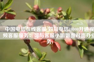 中国电信在线客服(四川电信10000开通视频客服服务：可与客服小姐姐面对面办业务)