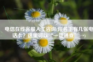 电信在线客服人工咨询(你名下有几张电话卡？这里可以“一证通查”→)