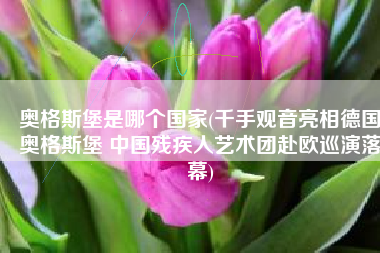 奥格斯堡是哪个国家(千手观音亮相德国奥格斯堡 中国残疾人艺术团赴欧巡演落幕)