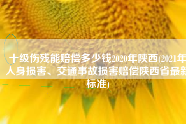 十级伤残能赔偿多少钱2020年陕西(2021年人身损害、交通事故损害赔偿陕西省最新标准)