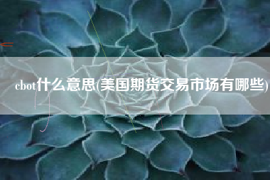 cbot什么意思(美国期货交易市场有哪些)