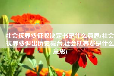社会抚养费征收决定书是什么意思(社会抚养费退出历史舞台,社会抚养费是什么意思)