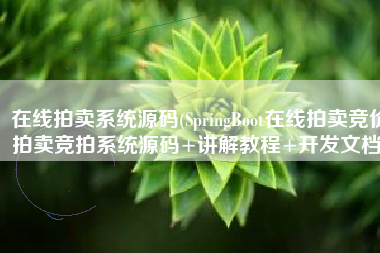 在线拍卖系统源码(SpringBoot在线拍卖竞价拍卖竞拍系统源码+讲解教程+开发文档)