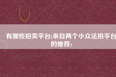 有哪些拍卖平台(来自两个小众法拍平台的推荐)