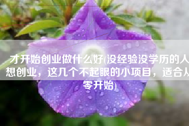 才开始创业做什么好(没经验没学历的人想创业，这几个不起眼的小项目，适合从零开始)