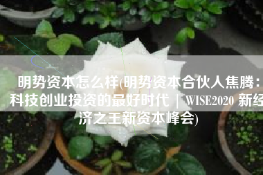明势资本怎么样(明势资本合伙人焦腾：科技创业投资的最好时代 | WISE2020 新经济之王新资本峰会)