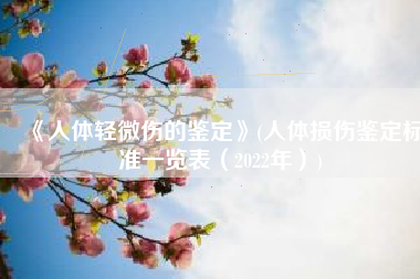 《人体轻微伤的鉴定》(人体损伤鉴定标准一览表（2022年）)