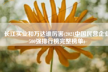 长江实业和万达谁厉害(2021中国民营企业500强排行榜完整榜单)