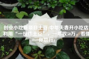 创业小吃新项目土豆(中年夫妻开小吃店，利用“一份炸土豆”，一年收50万，看懂你也行)