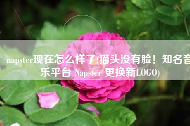 napster现在怎么样了(猫头没有脸！知名音乐平台 Napster 更换新LOGO)