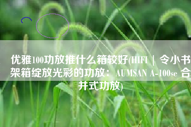 优雅100功放推什么箱较好(HIFI | 令小书架箱绽放光彩的功放：AUMSAN A-100se 合并式功放)