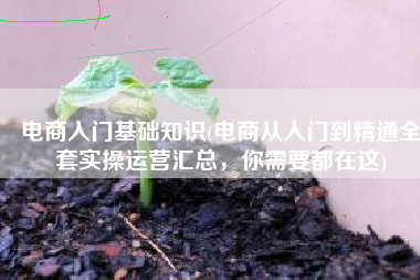 电商入门基础知识(电商从入门到精通全套实操运营汇总，你需要都在这)