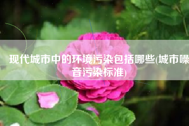 现代城市中的环境污染包括哪些(城市噪音污染标准)