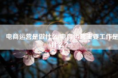 电商运营是做什么(电商运营主要工作是什么？)